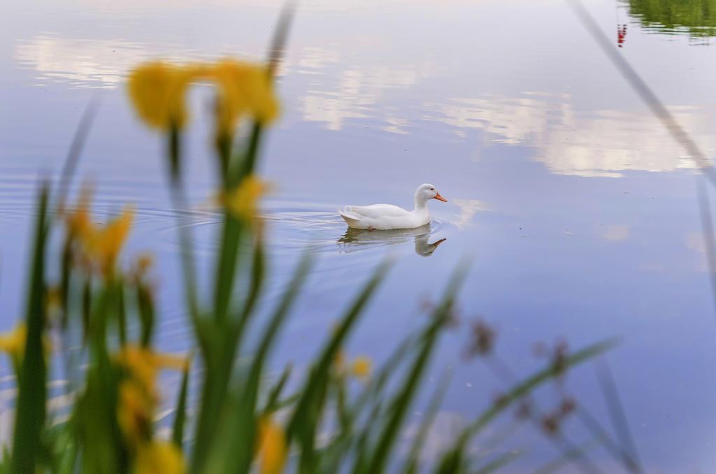 Stornoway Lodge Лансерія Екстер'єр фото